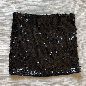 Sequin Skirt